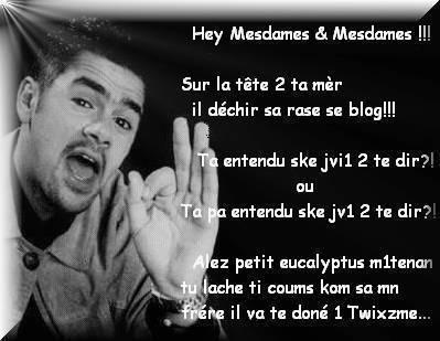il  dit  la  vairiter